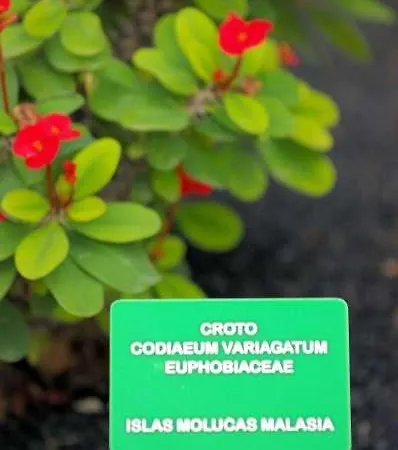 Sleeps 6 Pool Wifi Ариа